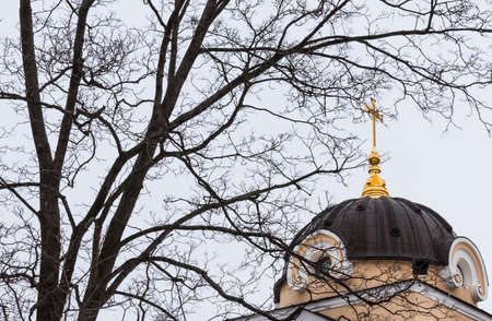 Branches of tree and dome of Orthodox church on the background of overcast winter skyの写真素材
