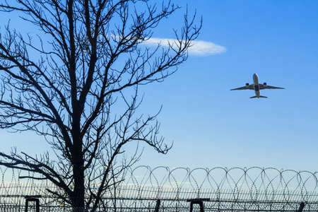 Silhouette of a tree, a fence of barbed wire and a plane taking off on the backgroundの写真素材