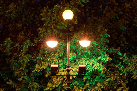 Night multicolor street lamps on the background of trees foliageの写真素材
