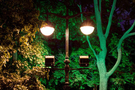 Night multicolor street lamps on the background of trees foliage