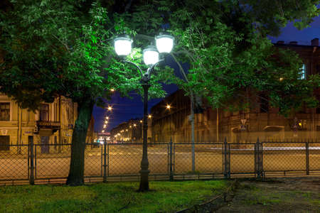 Night street light in foliage of park tree on the background of the illuminated street, St. Petersburg, Russiaの写真素材
