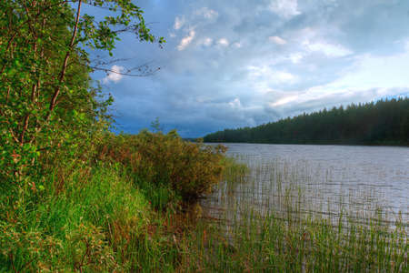 Summer landscape of lake and forest in a cloudy dayの写真素材