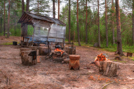 Campfire and stumps near the gazebo in the forest in summer dayの写真素材