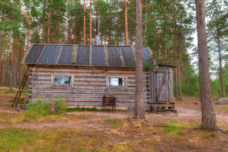 Hut in a pine forest in summer cloudy dayの写真素材