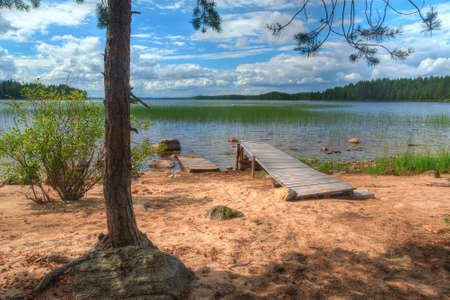 Tree and pier on the sandy shore of the lake in summer sunny dayの写真素材