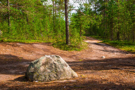 Big boulder lying on the road in forest in summy summer dayの写真素材