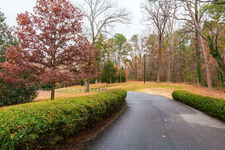 Asphalt road in autumn Lullwater Park, Atlanta, USAの写真素材