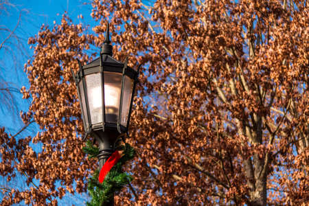 The lammpost with the Cristmas decorations on the background of autumn treeの写真素材