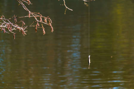 A fishing lure hanging on the fishing line on the background of lake