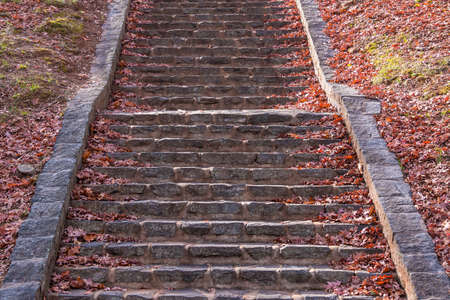 The stone stairs and dry leaves in the autumn park in sunny day