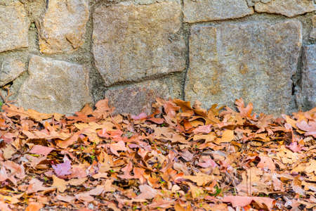 The rough stone wall and dry leaves in the autumn parkの写真素材