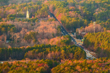Aerial view and forest from the top view.の写真素材