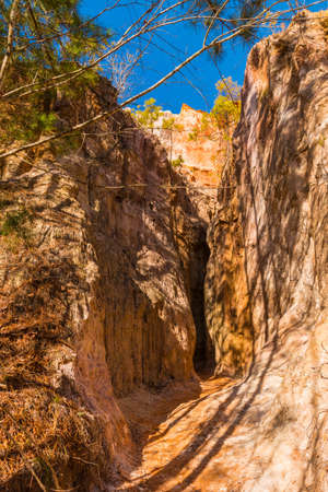Crevice in the red loamy wall of Providence Canyon in sunny day, USAの写真素材