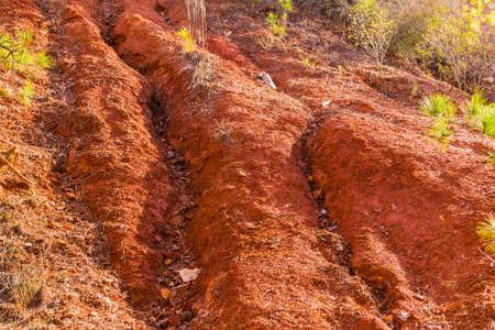 Red loamy ground of the wall of Providence Canyon closeup, USA