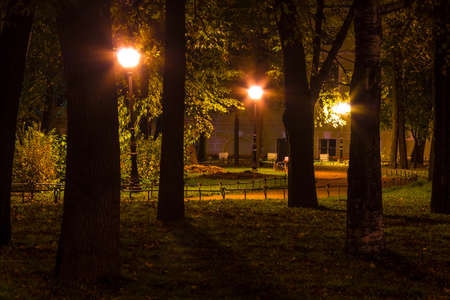 Night view of illuminated park in Yusupov Garden, Saint Petersburg, Russiaの写真素材