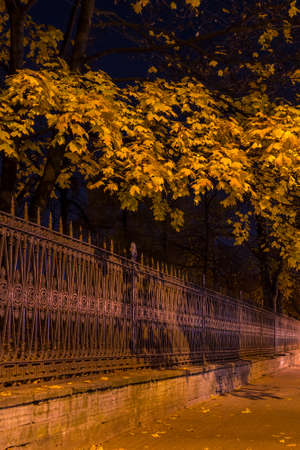 Night view of illuminated ornamental fence and autumn trees of Yusupov Garden, Saint Petersburg, Russiaの写真素材
