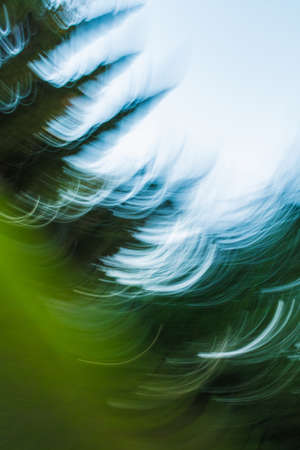 Abstract nature background with blue sky and trees in motion blurの写真素材