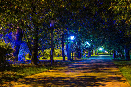 Night view of the alley with multicolored illumination on Constitution street, Sochi, Russiaの写真素材