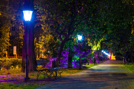 Night view of the alley with multicolored illumination on Constitution street, Sochi, Russiaの写真素材