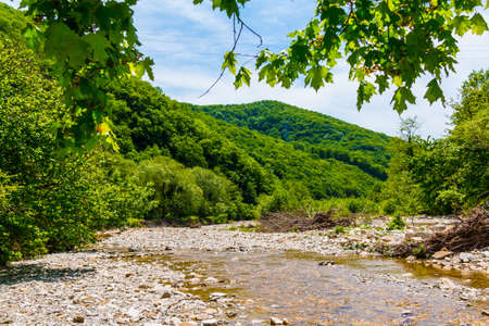 Landscape with Makopse river flowing in ravine on the background of mountain in sunny summer day, Sochi, Russiaの写真素材