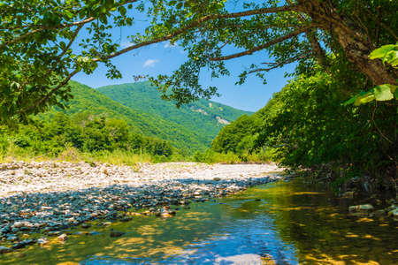 Landscape with Makopse river flowing in beautiful ravine on the background of Tamyurdepe mountain in sunny summer day, Sochi, Russiaの写真素材