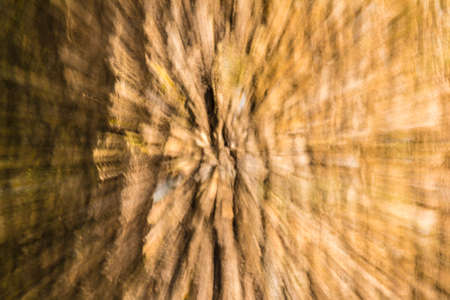 Abstract nature background of bark of tree trunk in motion blurの写真素材
