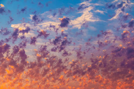 Beautiful cloudscape at sunset with colorful contrasting unusual cirrocumulus clouds looks like flamesの写真素材