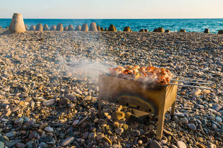 Shashlik fried on a mangal on the pebble beach on the background of seaの写真素材