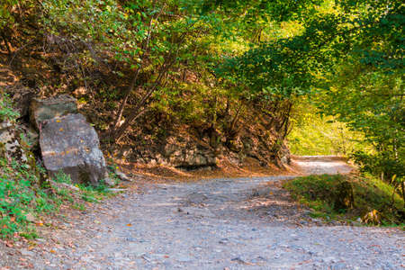 Landscape of a curved mountain trail with rocky wall and varicolored trees in sunny autumn day, Sochi, Russiaの写真素材