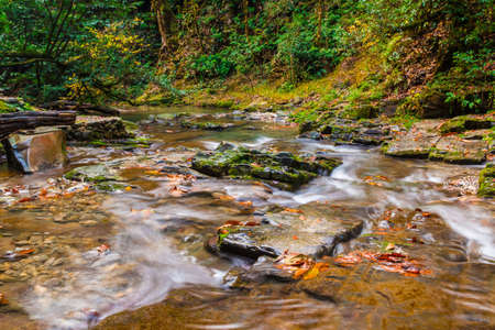 Motion blurred rapids of the mountain river Bezumenka in autumn day, Sochi, Russia