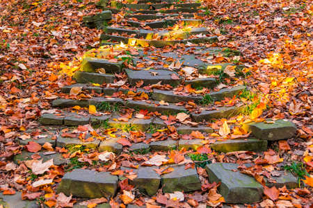 The rough stone stairs with dry leaves front view in the Arboretum in sunny autumn day, Sochi, Russiaの写真素材