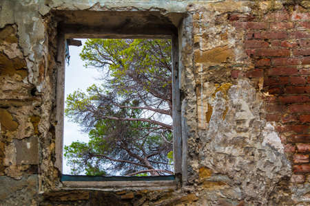 View of a tree branches from the window of the abandoned old mansion called Dacha Kvitko, Sochi, Russiaの写真素材