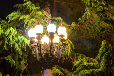 Luminous wrought ornate street light on the background of needles of pine tree at night
