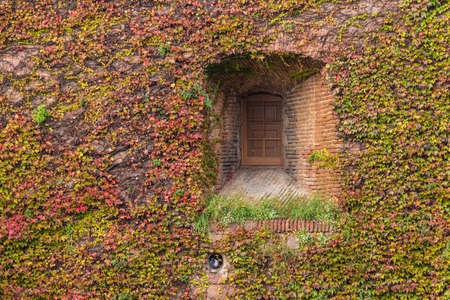 A window on the facade of the Montjuic Castle overgrown with ivies in autumn day front view, Barcelona, Spainのeditorial素材