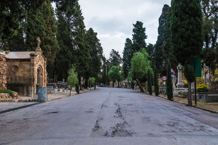 Perspective view of the road, graves and trees on the Montjuic Cemetery in overcast day, Barcelona,...