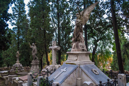 Several graves with sculptures on the background of trees on the Montjuic Cemetery in overcast day,...