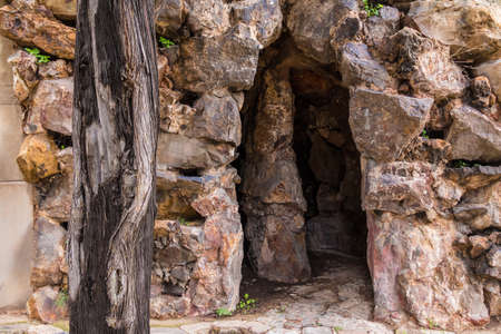 A tree trunk and a hole in a stone wall front view closeup on the Montjuic Cemetery, Barcelona, Catalonia, Spainの写真素材