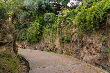 A footpath between two stone walls with lush vegetation in the Park Guell in overcast autumn day, Barcelona, Catalonia, Spainの写真素材