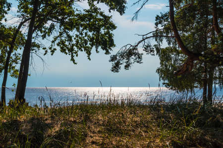 Hill with grass and trees on the background of the Gulf of Finland with sun glare on a sunny summer day, Komarovo, Saint Petersburg, Russiaの写真素材