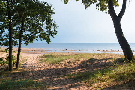 Sandy beach of the Gulf of Finland on a sunny summer day, Komarovo, Saint Petersburg, Russiaの写真素材