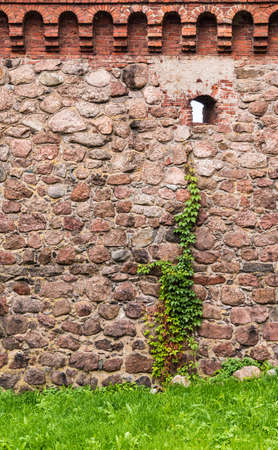 The stone fortress wall of the Vyborg Castle with loophole and ivy, Vyborg, Leningrad Oblast, Russiaの写真素材