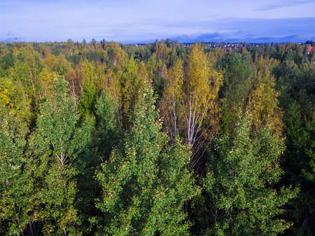 Drone view of the mixed forest in sunny autumn day, Toksovo, Leningrad Oblast, Russiaの写真素材