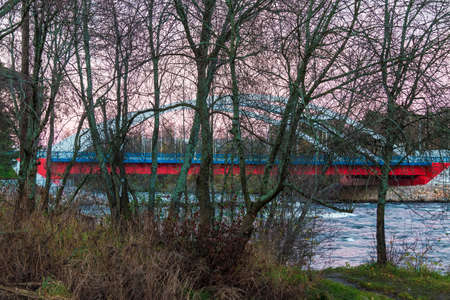 Bare trees on the background of the Vuoksi River Bridge in cloudy autumn day, Losevo, Leningrad Oblast, Russiaの写真素材