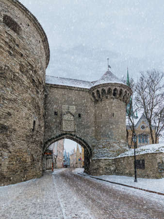 The Great Coastal Gate, the tower Fat Margaret and the Pikk Street in snowy winter day, Tallinn Old Town, Estoniaの写真素材