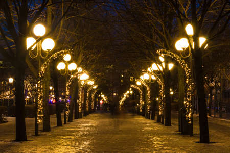 Beautiful perspective view of the illuminated Birgit Nilsson Alley in the Kungstradgarden Park at dusk, Stockholm, Swedenの写真素材
