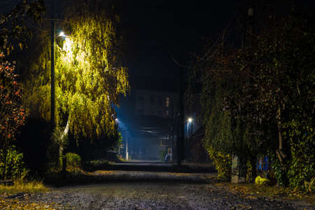 Beautiful perspective view of the illuminated Mendeleyeva Street in autumn at night, Kurgan, Russiaの写真素材