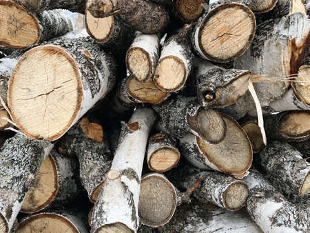 birch firewood of various shapes High quality photo
