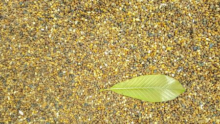 Crushed gravel texture & Stone backgroundの写真素材