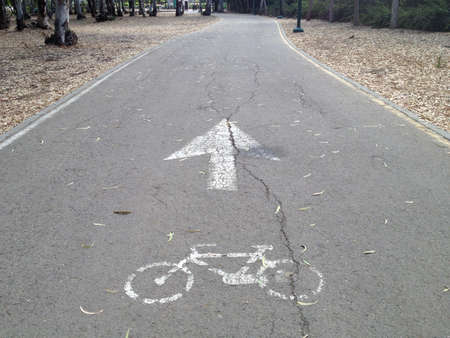 Bicycle lane symbol