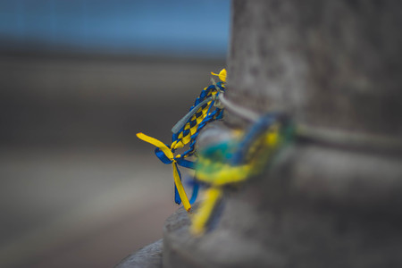 Kiev Maidan after revolutionの写真素材